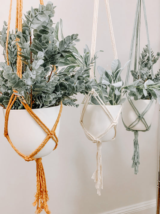 Simple Plant Hanger